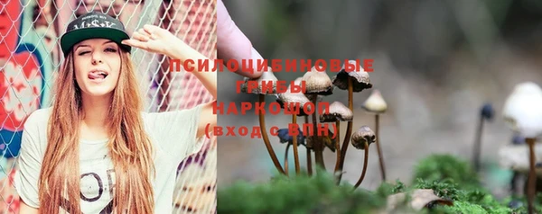 дурь Алексеевка