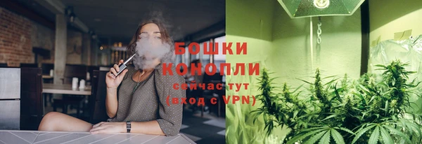 ешки Арсеньев