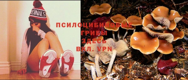 дурь Алексеевка