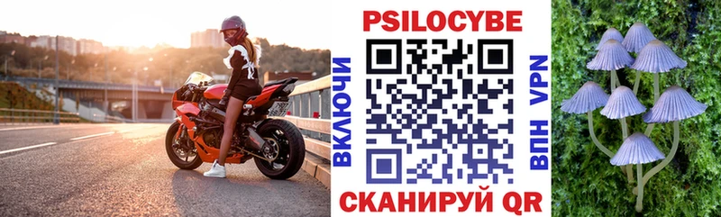 Псилоцибиновые грибы GOLDEN TEACHER  купить закладку  Добрянка 